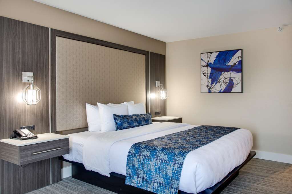 Best Western Plus Greenville I-385 Inn & Suites Δωμάτιο φωτογραφία
