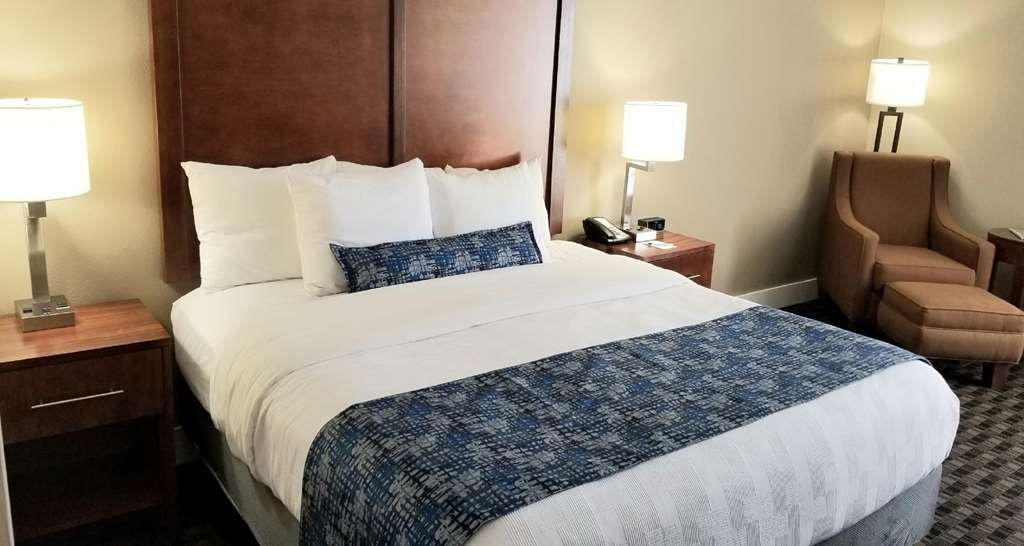Best Western Plus Greenville I-385 Inn & Suites Δωμάτιο φωτογραφία