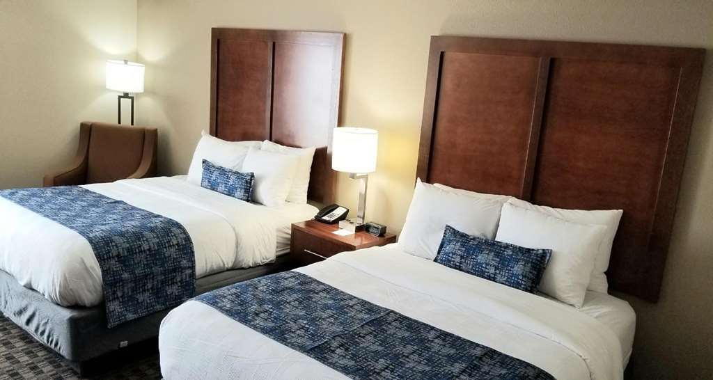Best Western Plus Greenville I-385 Inn & Suites Δωμάτιο φωτογραφία