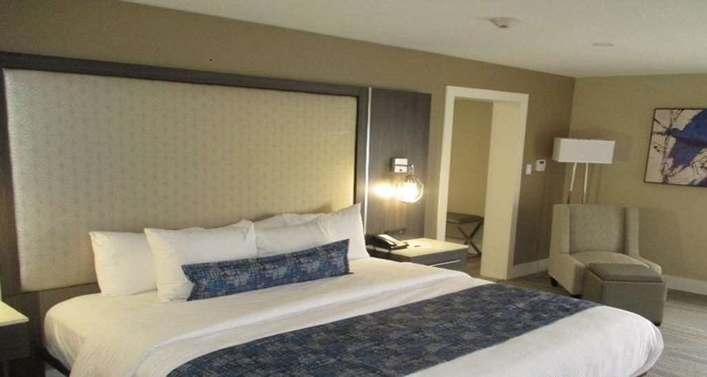 Best Western Plus Greenville I-385 Inn & Suites Δωμάτιο φωτογραφία